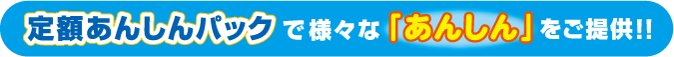 定額安心パックで様々な「あんしん」をご提供!!