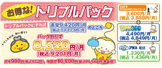 CC9のトリプルパックでもっとお得に!(上)