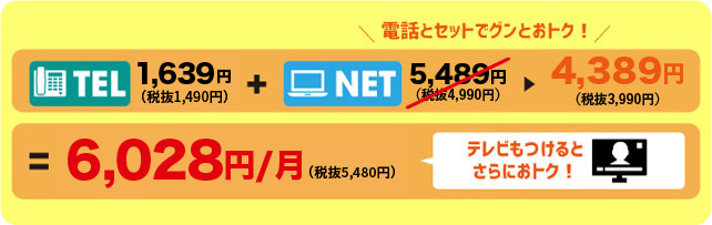 ひかりネットギガとセットでもっとお得に！