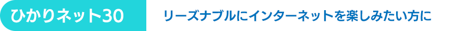 ひかりネット30 リーズナブルにインターネットを楽しみたい方に