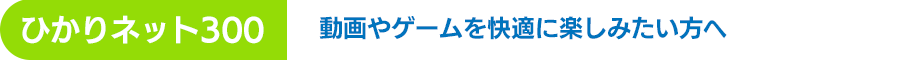 ひかりネット300 動画やゲームを快適に楽しみたい方へ