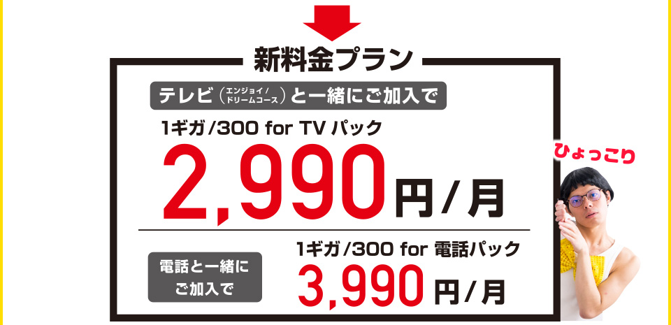 新料金プラン テレビと一緒にご加入で 1ギガ/300forTVパック 2,990円/月　電話と一緒にご加入で 1ギガ/300for電話パック 3,990円/月