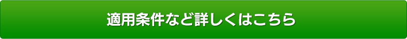 適用条件など詳しくはこちら