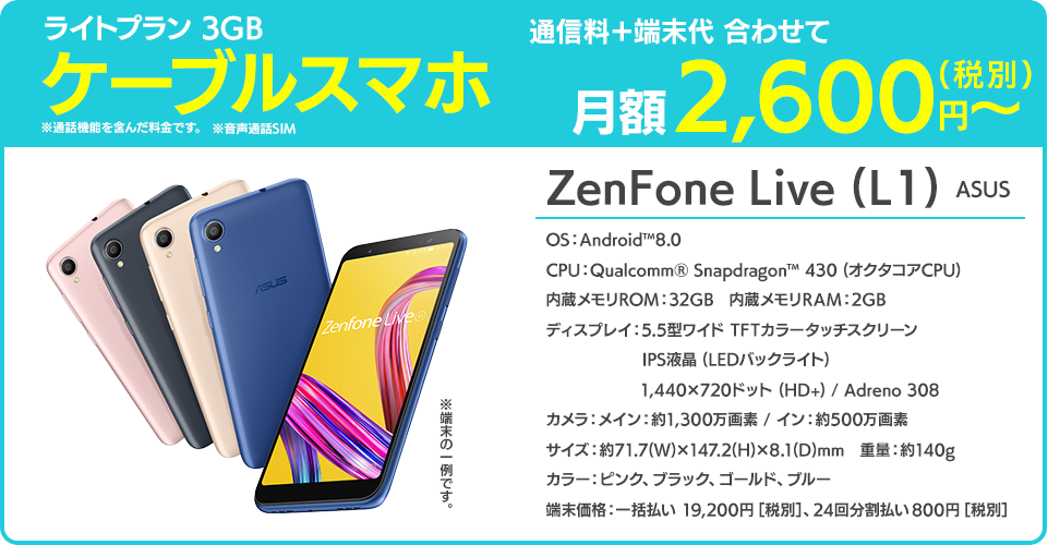 通信料＋端末代合わせて月額2,600円～