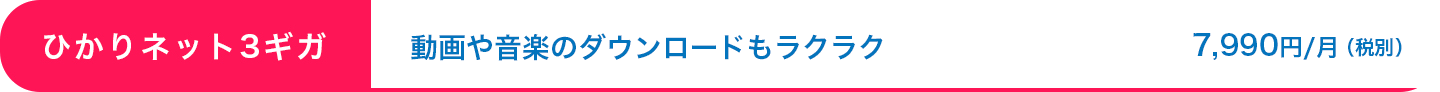 ひかりネット3ギガ：動画や音楽のダウンロードもラクラク7,990円/月（税別）