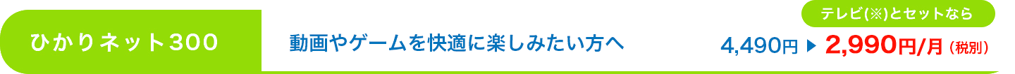 ひかりネット300：動画やゲームを快適に楽しみたい方へ4,490円2,990円/月（税別）