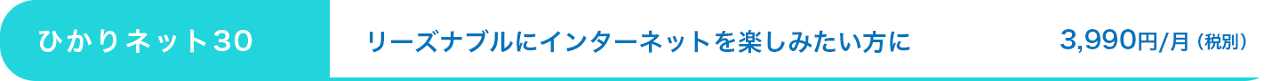 ひかりネット30：リーズナブルにインターネットを楽しみたい方に3,990円/月（税別）