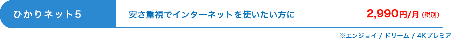 ひかりネット5：安さ重視でインターネットを使いたい方に2,990円/月（税別）