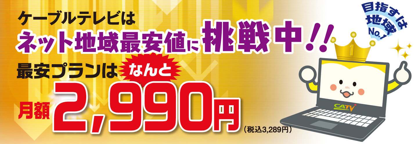 ネット地域最安値に挑戦中！最安プランはなんと月額 2990円