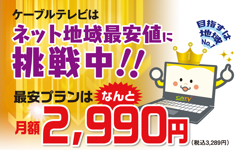 ネット地域最安値に挑戦中！最安プランはなんと月額 2990円