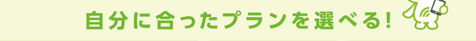 自分に合ったプランを選べる！