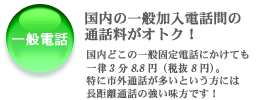 一般電話との通話