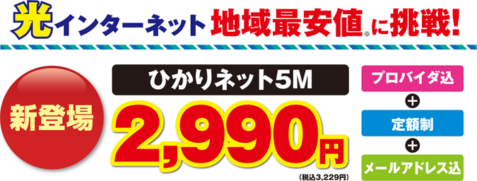 新登場　ひかりネット5M2,990円　プロバイダ込+定額制+メールアドレス込