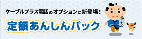 定額あんしんパック