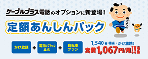 定額あんしんパック