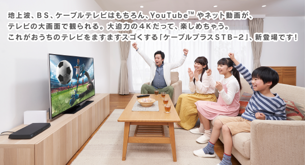 ケーブルプラスSTB-2