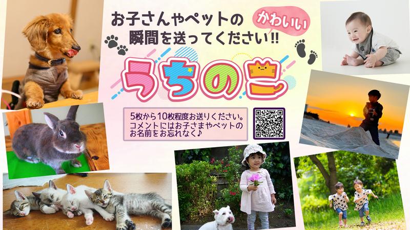 うちのこ_告知用静止画.jpg